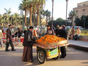 Ici, on vend de belles oranges pas chères