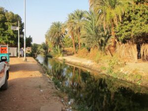 Le canal d'irrigation verdit le désert