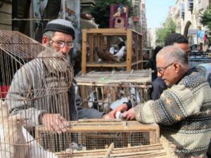 Marché aux oiseaux